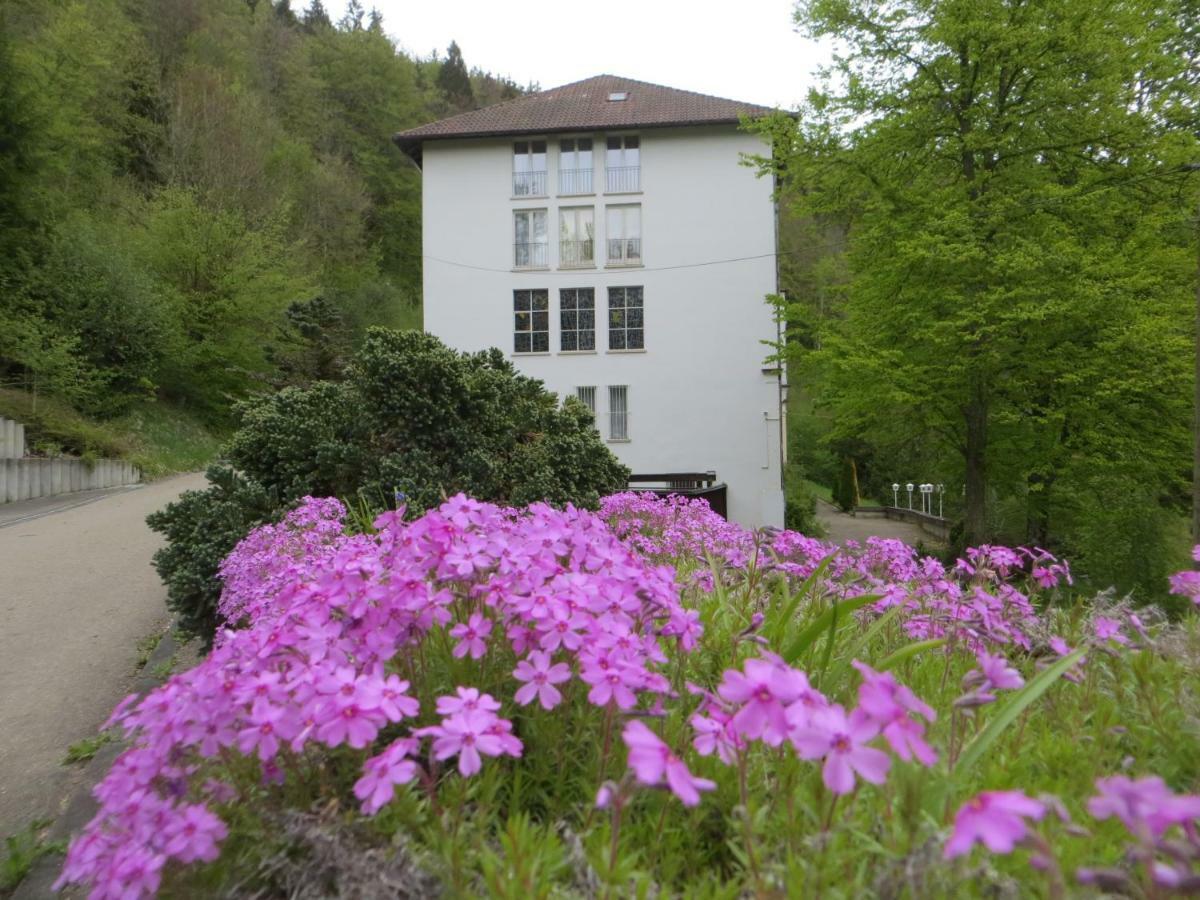 Gaeste- Und Tagungshaus Maria Trost Beuron Extérieur photo